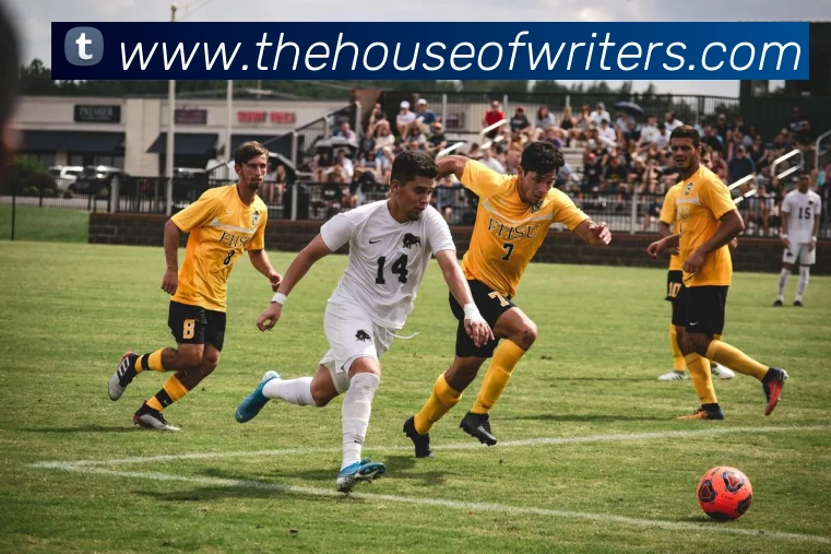 App Interface Preview